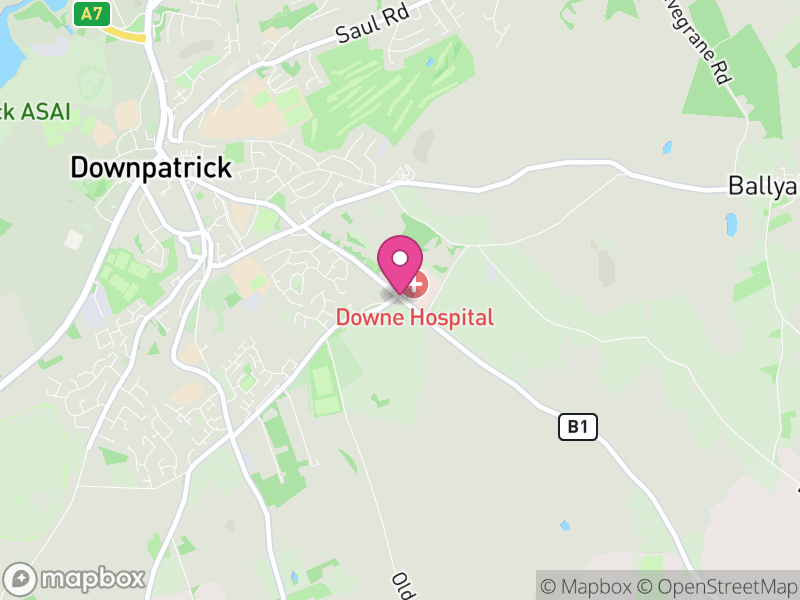 Map of Downpatrick Estate Agents