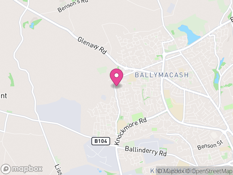 Map of properties for sale in BT28