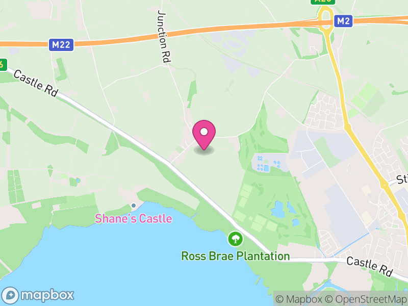 Map of properties for sale in BT41