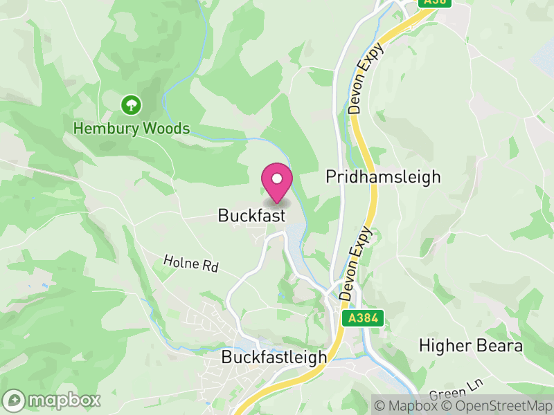 Map of properties for sale in Buckfastleigh