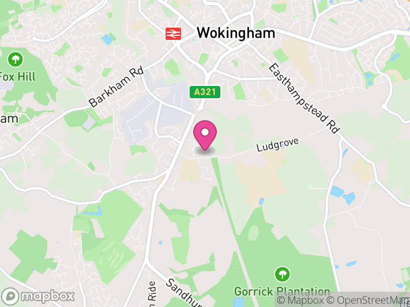 Map of properties for sale in RG40