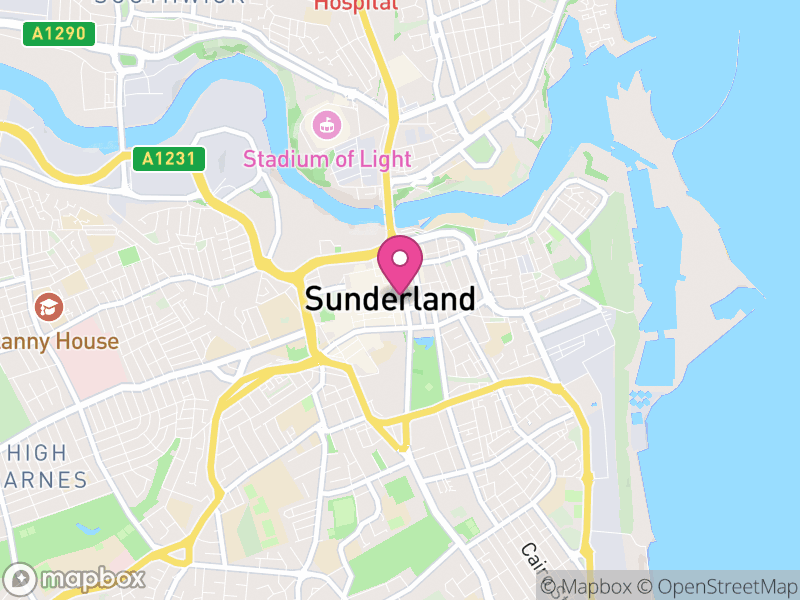 Map of properties for sale in Sunderland