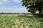 Land at Wymondham Road, Deopham