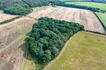 Masterton Wood, Dalkeith, Midlothian, EH22