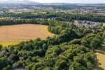 Lady Lothians Wood, Dalkeith, Midlothian, EH22