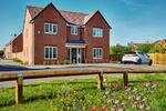 The Wayford - Plot 226 at Bramcote Grange, Bramcote Grange, Bramcote Grange CV11
