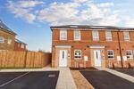 Dandelion, Cramlington, Newcastle Upon Tyne