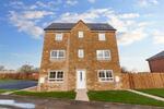 Dandelion, Cramlington, Newcastle Upon Tyne